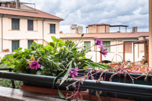 appartamento in affitto marciana marina